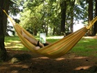 Sunshine Hammock