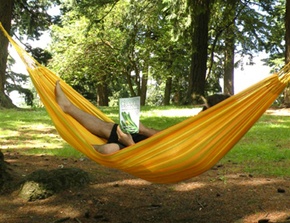 Sunshine Hammock