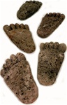 Pumice Baby Foot