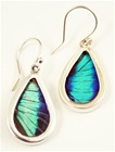 Oblong Butterfly Earrings