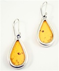 Oblong Butterfly Earrings